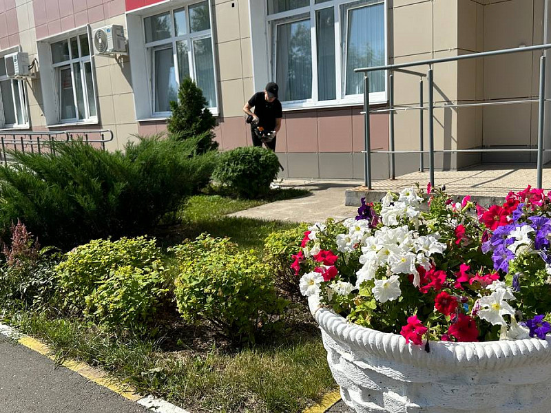 Какие виды работ по озеленению мы проводим в наших жилых комплексах?